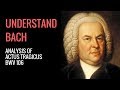 J. S. Bach, Actus Tragicus: Analysis