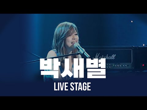 다재다능 가수! 싱어송라이터 박새별의 라이브 모음 Live Playlist