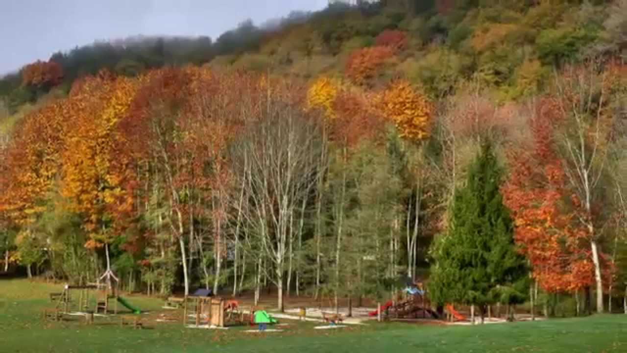 012 Navarra Señorio de Bértiz  2ª parte