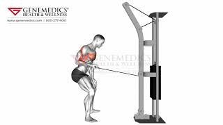 Cable Palm Rotational Row Back Exercise