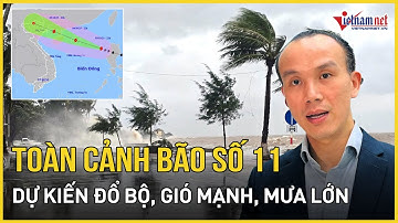 Toàn cảnh bão số 11 MATMO: Chuyên gia nhận định tâm điểm đổ bộ, miền Bắc chịu gió mạnh, mưa lớn