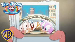 Tiny Toons Looniversity | Tourists In The Big City! 🏙📸  | @Wbkids @Cartoonnetwork