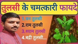 तुलसी के चमत्कारी फायदे,तुलसी benefits of holy basil