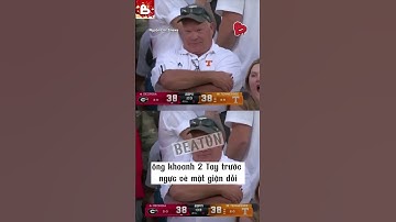 Cứ ngỡ trốn làm để xem bóng chày kín kẽ, ai ngờ lại thành nhân vật chính trên màn hình lớn!