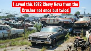 I saved this 1972 Chevy Nova from the C rusher not once but twice! #chevy #nova #willitrun