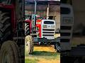 Massey Ferguson 245❤️🚜