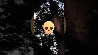 1 million views Ghost place #viralshorts #ytshorts#trending #fun #animation #youtubenextup#shells.