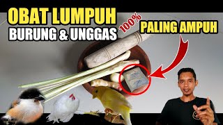 RAMUAN DAN OBAT LUMPUH PALING AMPUH DI DUNIA||untuk burung dan unggas