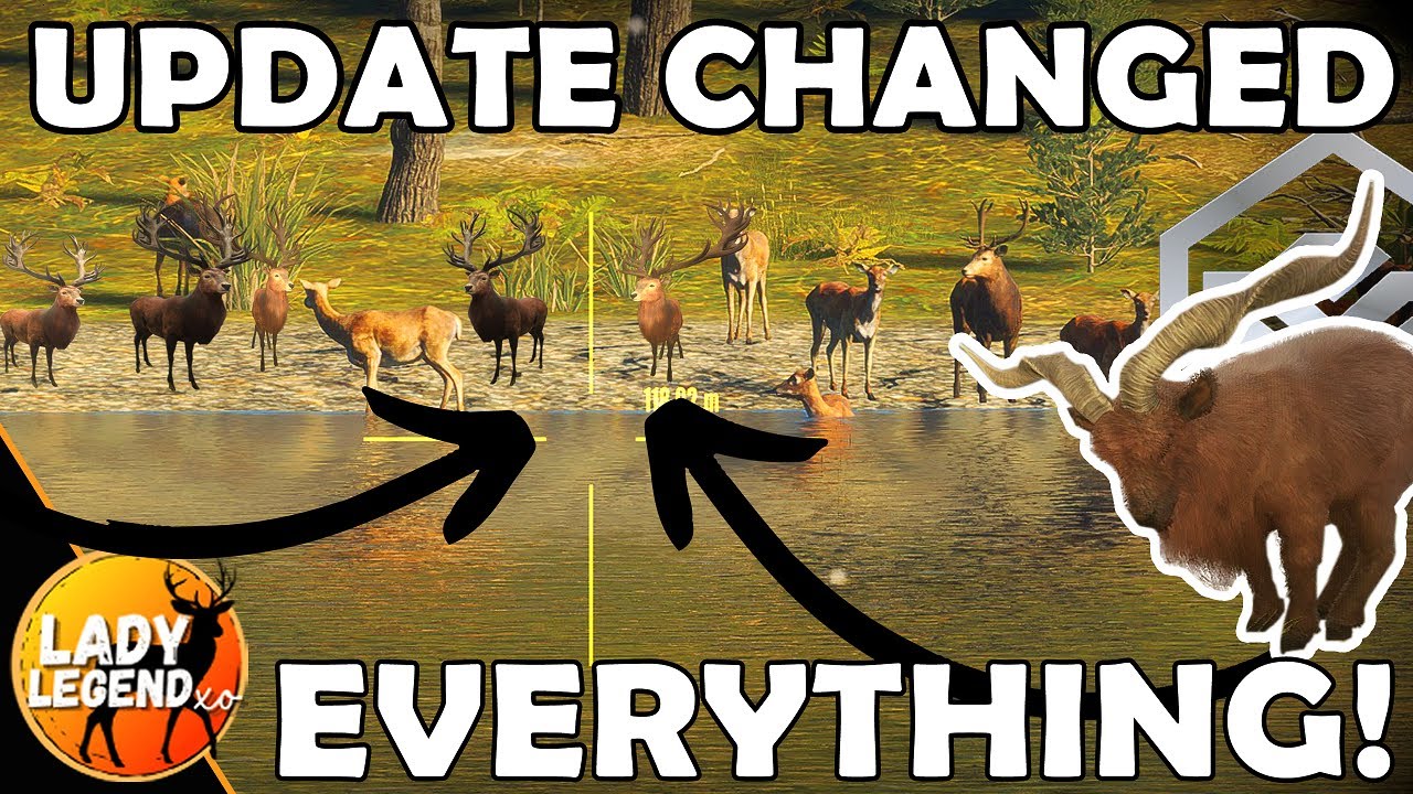 They're ON THE SHORE & EVERYWHERE!!! Te Awaroa UPDATE 2022 Call of