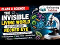 🔥 Invisible living world 🔬| class 8 science chapter| #class8 # Science @thelearninghubkvs