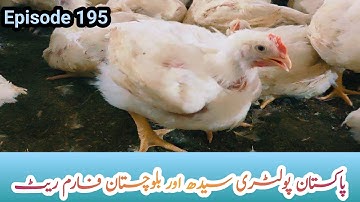 Broiler Farm Rate Sindh Balochistan | Pakistan Poultry Broiler Farm Rate list | Ep 195 #poultry