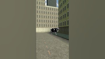Polish Cow Horde Nextbot Gmod