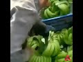 🤫 केला🍌 पकाने का तारिका😱 #shorts