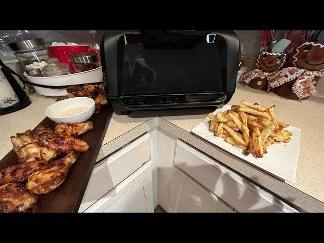 Zstar Indoor smokeless Electric Air Grill Review, made Honey Brown Sugar  wings and Fries on it !! 