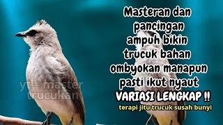 Trucukan GACOR ngalas ROPEL PANJANG suara alam AMPUH buat pancingan jadikan trucuk Gacor GARUDA