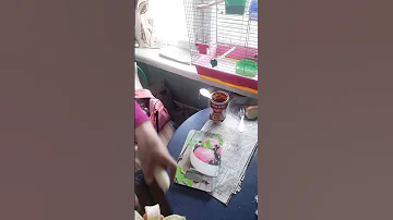 Shorts  РЕАЛЬНЫЙ ВЕС БАНАНА БЕЗ КОЖУРЫ