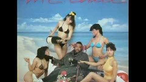 BUST THIS RHYME-M.C. CHILL {FEVER 1985}