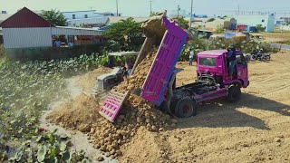 Completed 100%!! Dozer furukawa & Truck 5ton Clearing the land will push the soil to fill the pond