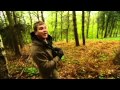 Wild britain with ray mears  tracking deer in the forest of dean