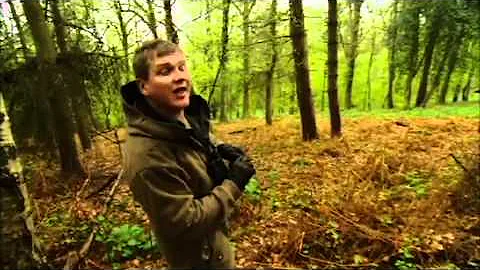 Wild Britain with Ray Mears - Tracking deer in the...