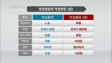 [생로병사의 비밀] 706회 핫클립? - ✅"양성"종양과 "악성"종양의 차이?