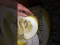 GIANT LEMON 😐🍋