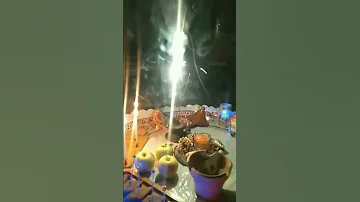 زاد النبي وافرحنا بيه 