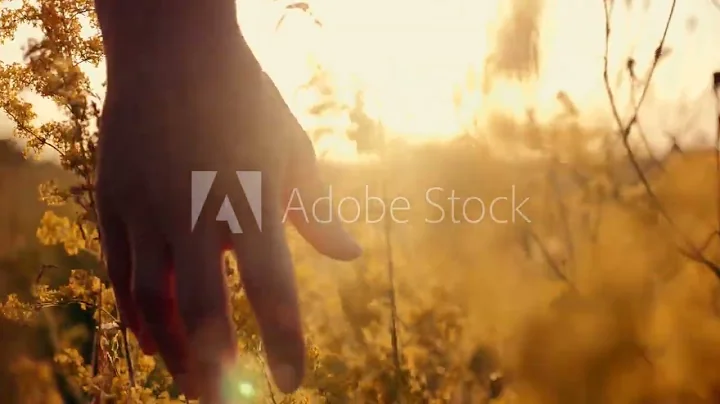 AdobeStock 287001119 Video HD Preview