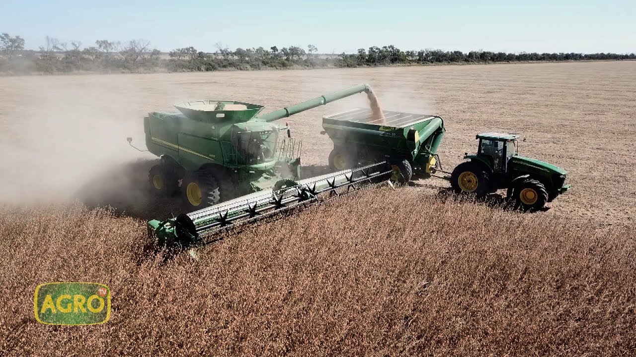 Familia Luengo: Tecnología e intensificación que triunfa en Santiago del Estero (