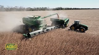 Familia Luengo: Tecnología e intensificación que triunfa en Santiago del Estero (#931 2021-06-05)