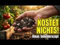 Hört auf, teure Erde zu kaufen! DIESE Oma-Mischung kostet nichts und verdoppelt die Ernte!