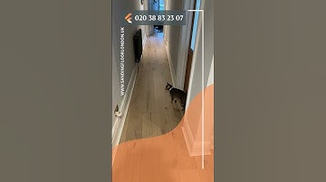 Engineered Flooring Installation in Hallway, Lambeth