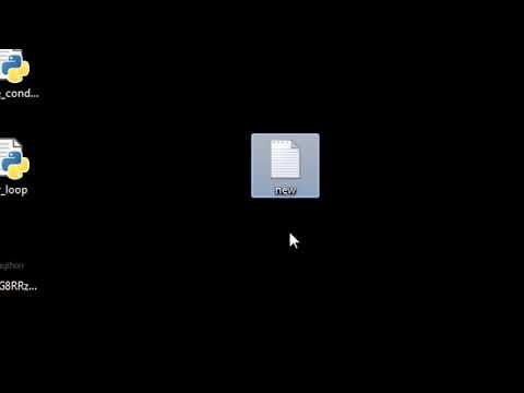 29  Renaming and Deleting Files