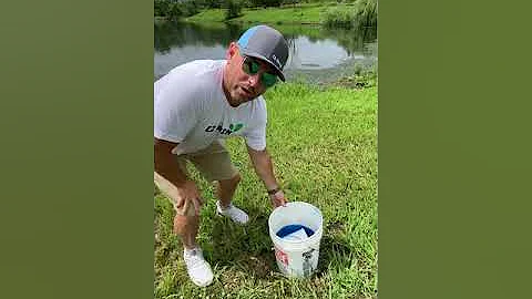 Controlling pond moss and algae in your pond