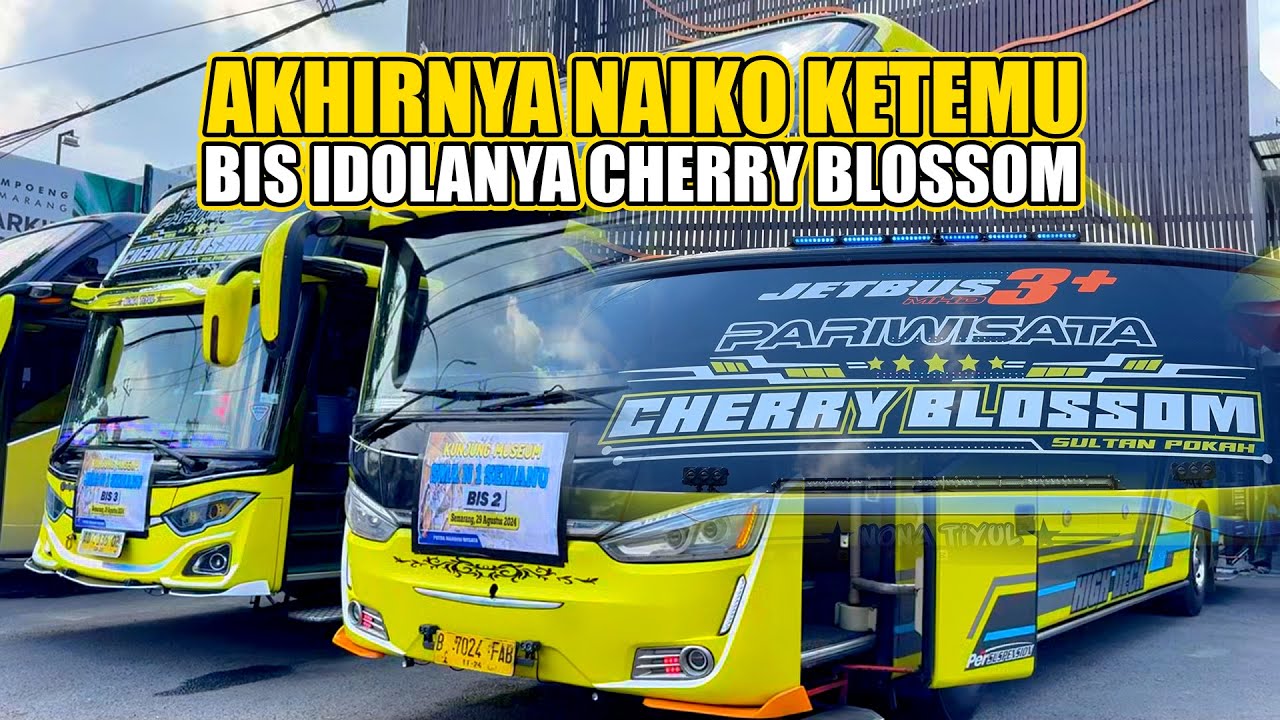 SENENG BANGET NAIKO KETEMU ROMBONGAN TISAL GROUP DI SEMARANG