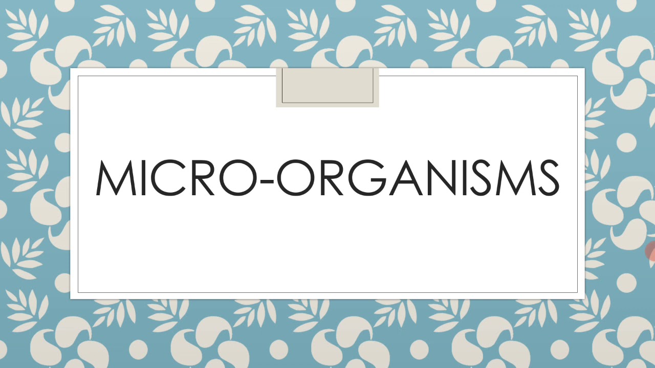 Micro-organisms||Part 2||Last part|Decomposition||Knowledge Stuffs