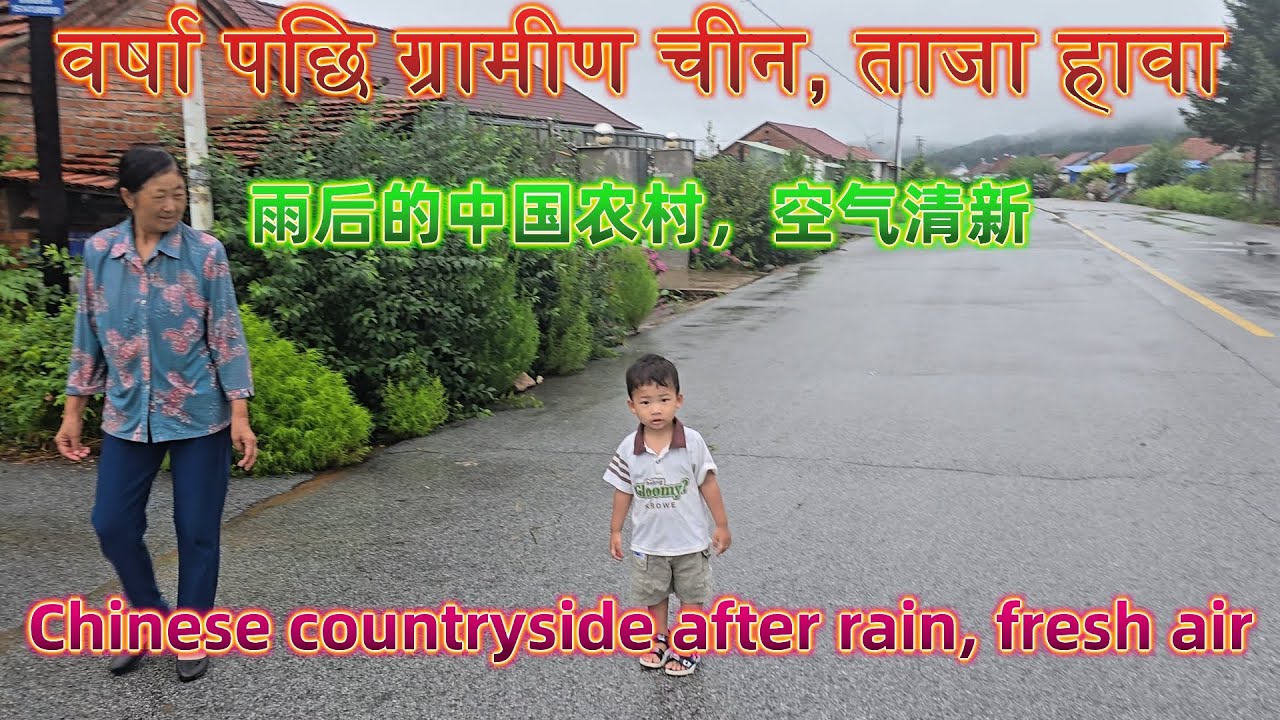 वर्षा पछि ग्रामीण चीन, ताजा हावा&雨后的中国农村，空气清新&Chinese countryside after rain, fresh air