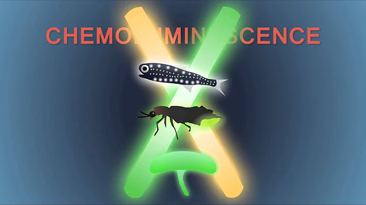 How Does Glow In The Dark Work?