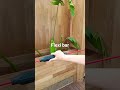 #flexi bar