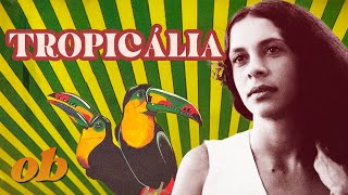 Beginner&#39;s Guide to Tropicália | Off Beat