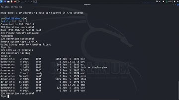 Penetration Testing an IP Camera with Kali Linux – Educational Only