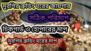 ৫০০ ব্রয়লার বাচ্চা ব্রুডিং ঘরের জায়গার সঠিক পরিমাপ মুরগির ব্রুডিং পদ্ধতি Chicken🐔brooding #বাচ্চা