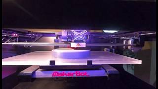 first 3D-printer timelapse.
