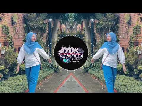 AYOK REMIXER -