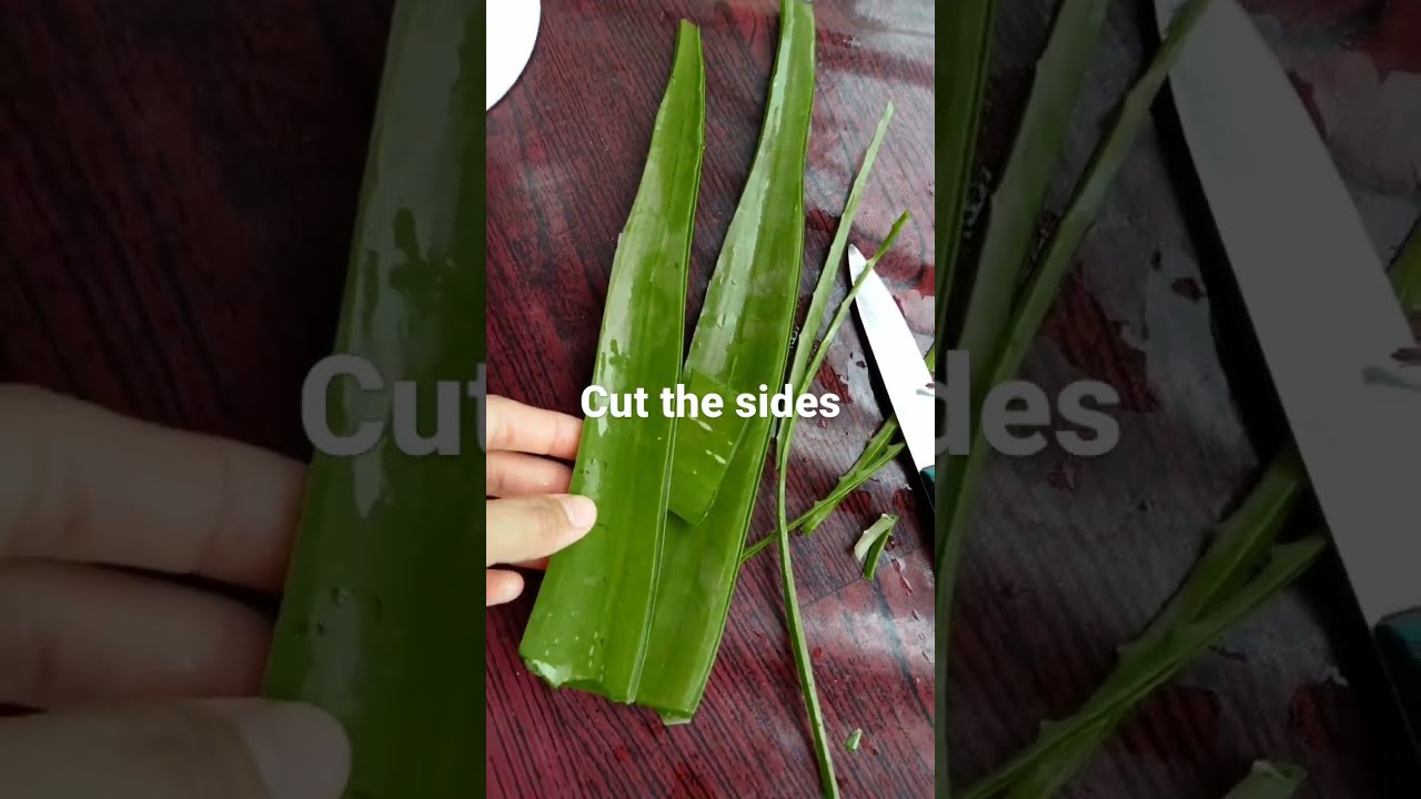 How To Remove Dandruff With Aloe Vera Haircare SelfcaretipsbyRamneek Shorts Subscribe