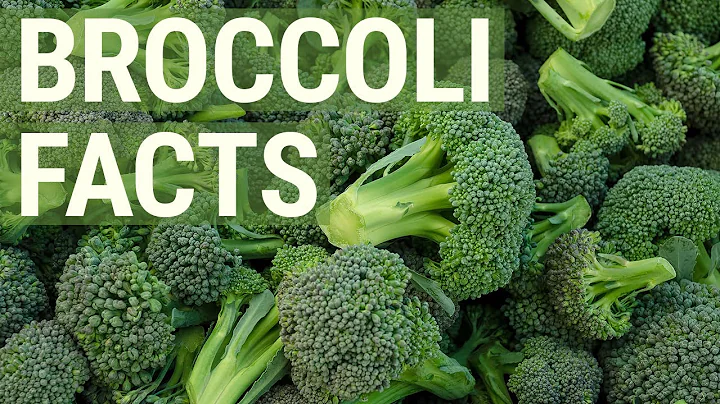 6 Healthy Facts About Broccoli You May Not Know About - DayDayNews