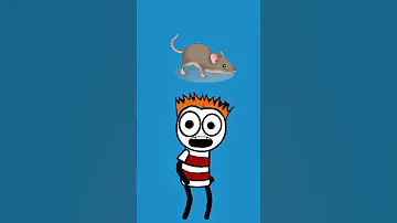 الدنيا دوارة ضحك سميطة نكت 