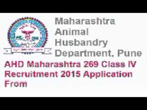 AHD Maharashtra recruitment 2015 class IV 269 vacancies online application ahd maharashtra gov in