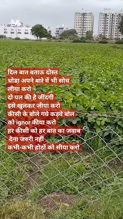 ek-zindagi-song-positive-thinking-status-shorts-youtube