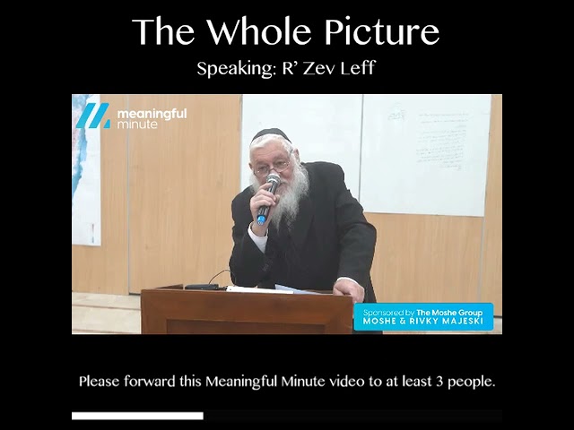 ⏱ The Whole Picture🗣 R’ Zev Leff